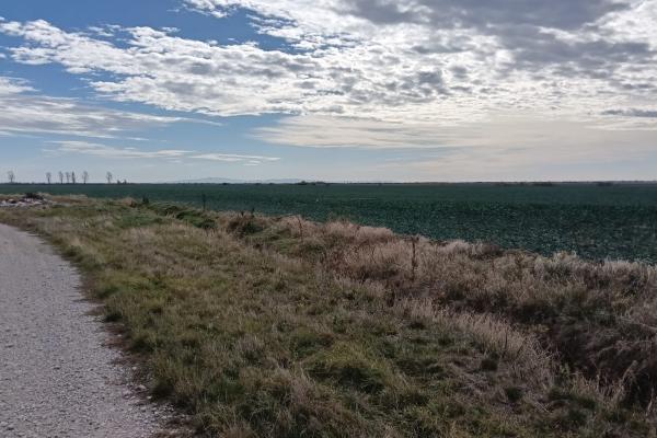 Ferma Agricolă 1.350 HA – Grad de Comasare 96–97%, Județul Arad