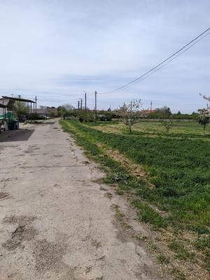 Ferma Zootehnică Mixtă – Cernateaz, Timiș | 9,5 ha | Hale Moderne, Casă 2019, vanzare sau schimb pentru jumatate din valoare