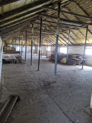 Ferma Zootehnică– Satchinez,9,5,vanzare sau schimb