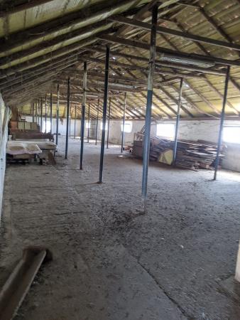 Ferma Zootehnică– Satchinez,  | 9,5 ha teren,vanzare sau schimb pentru jumatate din valoare