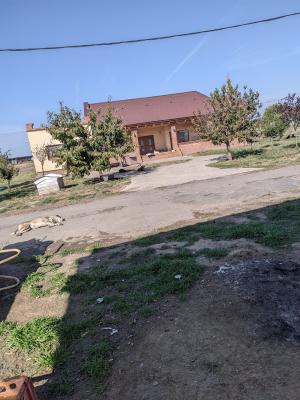 Ferma Zootehnică– Satchinez,9,5,vanzare sau schimb