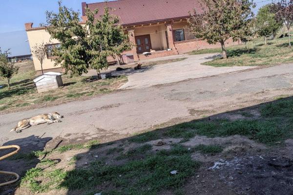Ferma Zootehnică– Satchinez,9,5,vanzare sau schimb