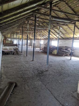 Ferma Zootehnică– Satchinez,  | 9,5 ha teren,vanzare sau schimb pentru jumatate din valoare