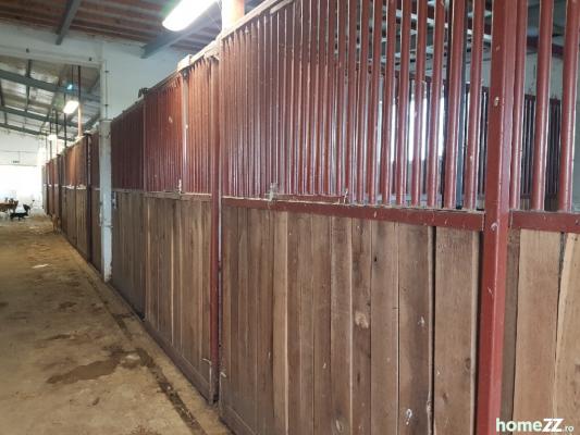 Ferma Zootehnică– Satchinez,9,5,vanzare sau schimb