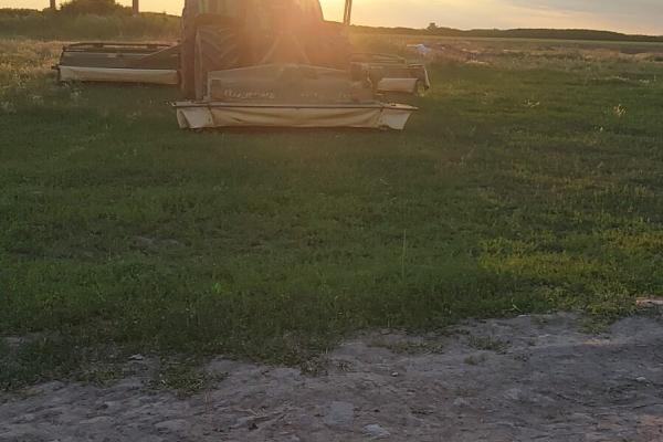 Ferma zootehnică funcțională, 400 capete bovine, Sânnicolau Mare