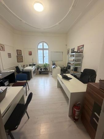 Apartament Parter in Vila, 4 Camere, Birouri si Firme, B.dul Unirii
