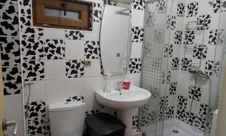 Vila curte proprie, Alba Iulia, 7 Camere, Mobilata