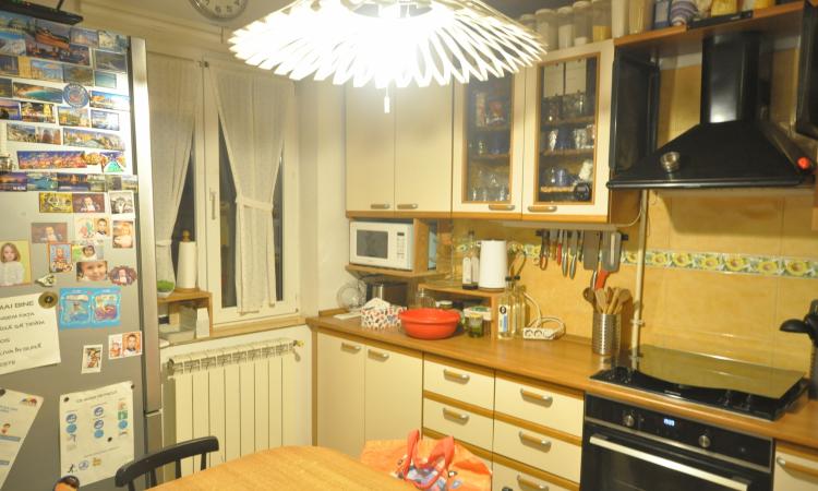 4 Camere in Vila Interbelica, Animalute admise, Zona linistita Traian/Pache Protopopescu