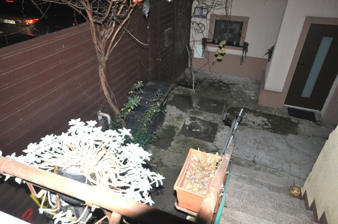 4 Camere in Vila Interbelica, Animalute admise, Zona linistita Traian/Pache Protopopescu