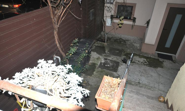 4 Camere in Vila Interbelica, Animalute admise, Zona linistita Traian/Pache Protopopescu