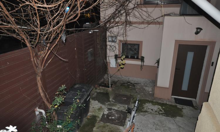 4 Camere in Vila Interbelica, Animalute admise, Zona linistita Traian/Pache Protopopescu