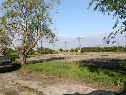 Ferma avicola inchiriere sau vanzare, localitatea Calacea