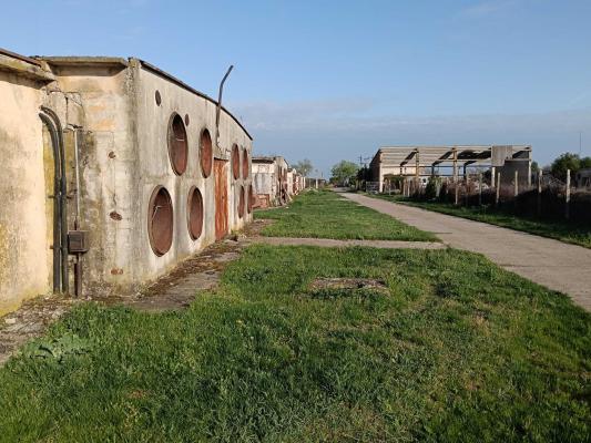Ferma avicola inchiriere sau vanzare, localitatea Calacea