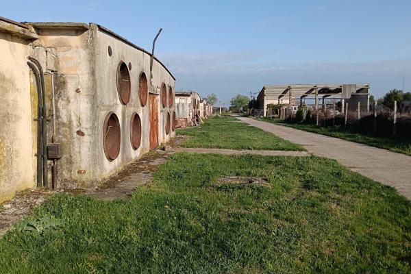 Ferma avicola inchiriere sau vanzare, localitatea Calacea