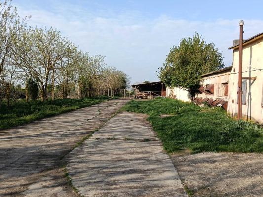 Ferma avicola inchiriere sau vanzare, localitatea Calacea