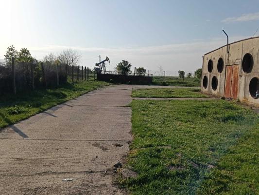 Ferma avicola inchiriere sau vanzare, localitatea Calacea