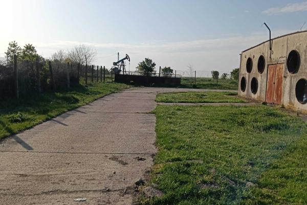 Ferma avicola inchiriere sau vanzare, localitatea Calacea