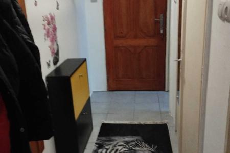Apartament 1 camera, zona Dambovita, decomandat