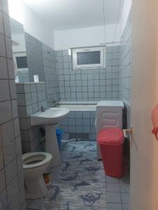 Apartament 1 camera, zona Dambovita, decomandat