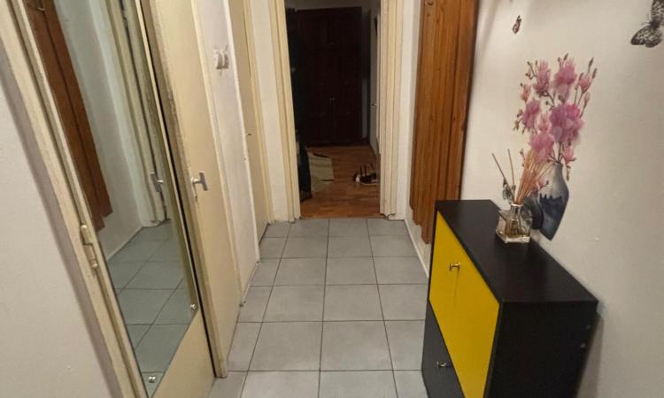 Apartament 1 camera, zona Dambovita, decomandat