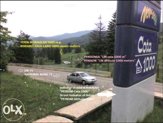 Sinaia | Teren intravilan 5.000 mp | DN71 | Cota 1000