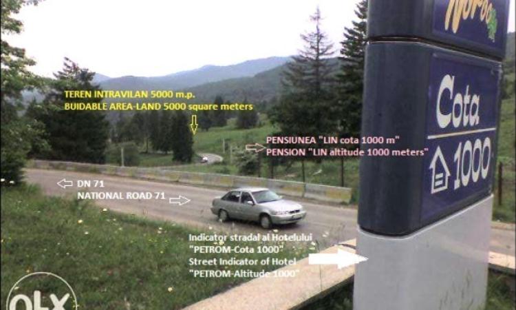 Sinaia | Teren intravilan 5.000 mp | DN71 | Cota 1000