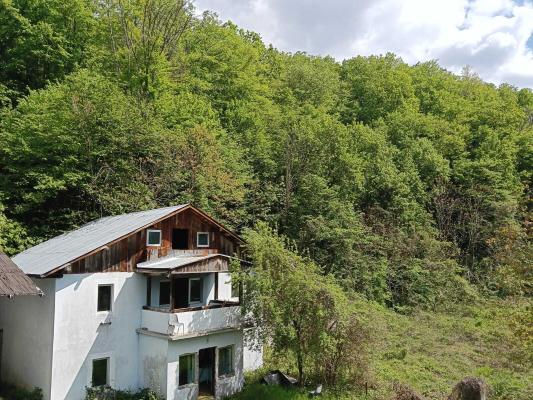 Proprietate turistică | Fost hotel | Teren 8900 mp | Aproape de Dunăre