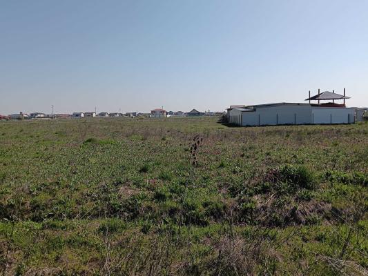 Terenuri de vânzare | Săcălaz|  oportunități investiționale