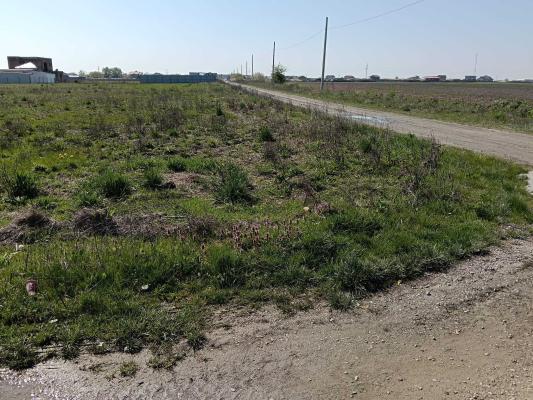 Terenuri de vânzare | Săcălaz| oportunități investiționale