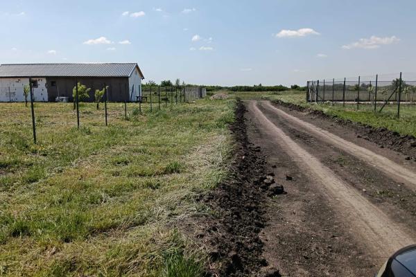 Terenuri de vânzare | Săcălaz| oportunități investiționale