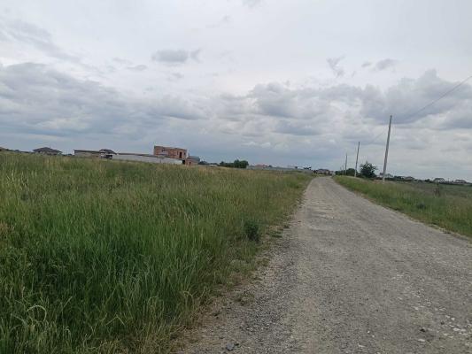 Terenuri de vânzare | Săcălaz|  oportunități investiționale