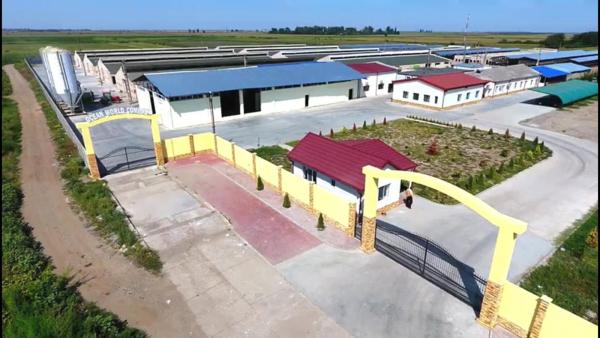 *Fermă modernă export miei | 6 ha | Standarde europene ,Brăila*