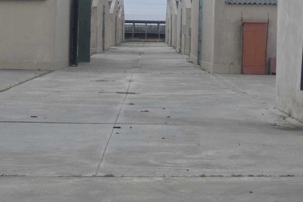 *Fermă modernă export miei | 6 ha | Standarde europene ,Brăila*