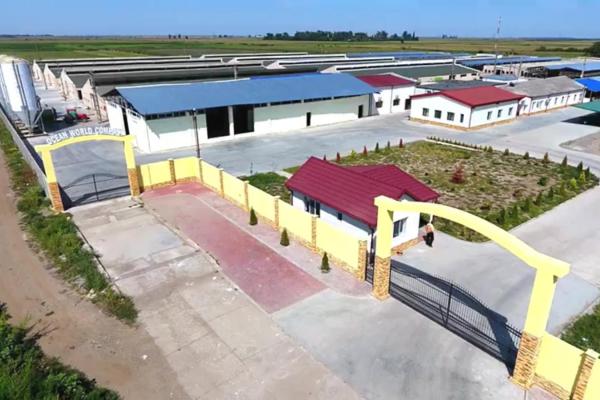 *Fermă modernă export miei | 6 ha | Standarde europene ,Brăila*