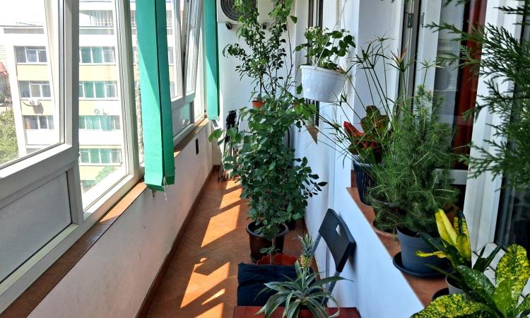 Apartament 3 camere Ianculuic - 50 m de metrou