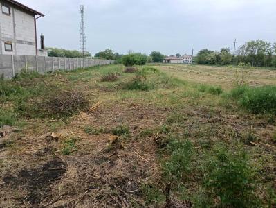 Parța | Teren intravilan 1.230 mp | Vatră sat | Utilități la stradă | Investiție*