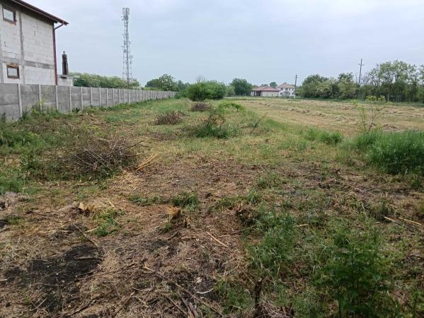 Parța | Teren intravilan 1.230 mp | Vatră sat | Utilități la stradă | Investiție*