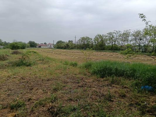 Parța | Teren intravilan 1.230 mp | Vatră sat | Utilități la stradă