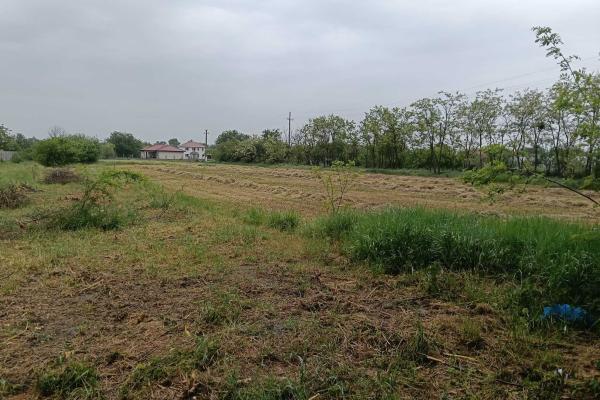Parța | Teren intravilan 1.230 mp | Vatră sat | Utilități la stradă