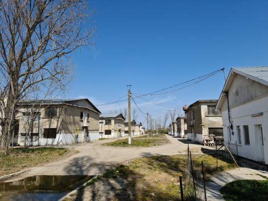 Ferma avicola populata, aparoape de Oradea