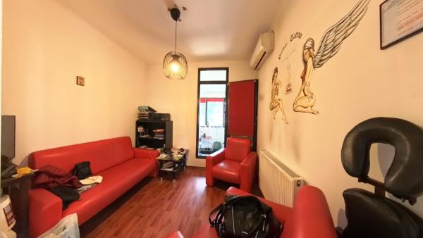 Apartamente in vila, garaj si curte comuna, zona Dacia/Polona