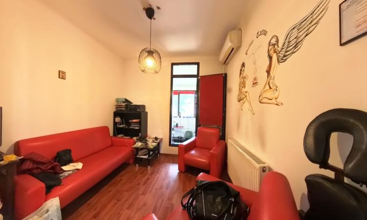 Apartamente in vila, garaj si curte comuna, zona Dacia/Polona