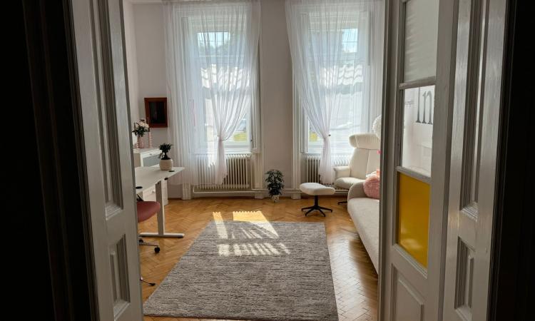 Timișoara | Casă 10 camere | Zona Lunei | 360 mp utili | Ideală pentru investiție