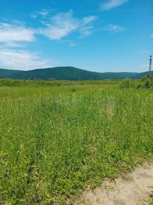 Oportunitate investiție agricolă | 750 ha societate | Județul Arad |