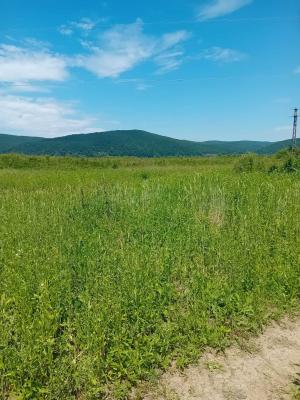 Oportunitate investiție agricolă | 750 ha societate | Județul Arad |