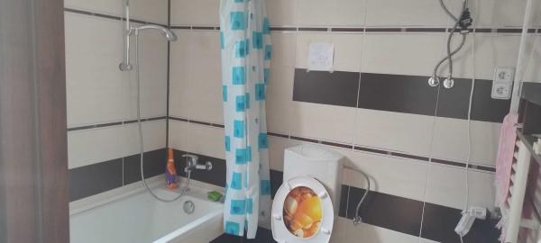 Apartament 6 camere in vila, zona centrala, Timisoara