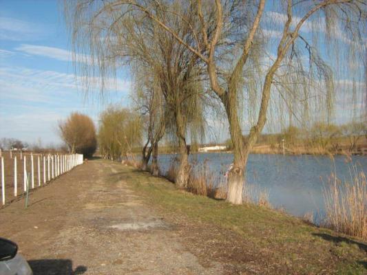 Teren cu dubla deschidere la Lac si Padure ,47  de loturi