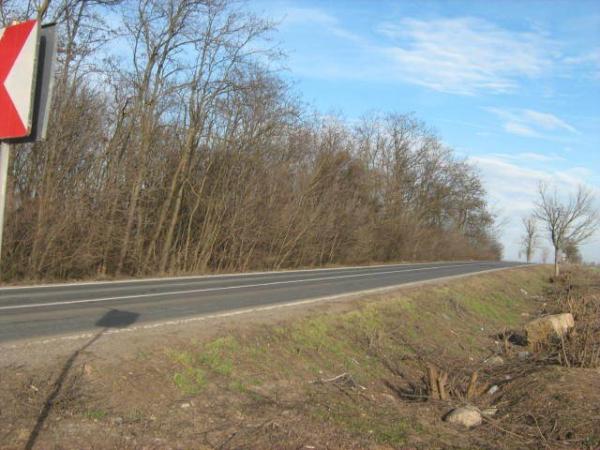 Teren cu dubla deschidere la Lac si Padure ,47  de loturi