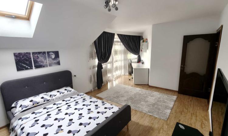 Vila cu piscina, terasa si curte generoasa - Bucuresti/Colentina