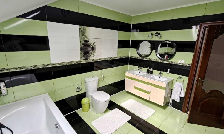 Vila cu piscina, terasa si curte generoasa - Bucuresti/Colentina